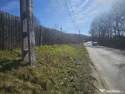 Teren 690 mp, deschidere 50 m, utilități – 1 km Prim?... 