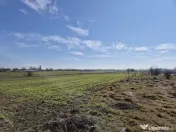 Trestieni - Ulmi, vanzare teren 1.663mp, intravilan 