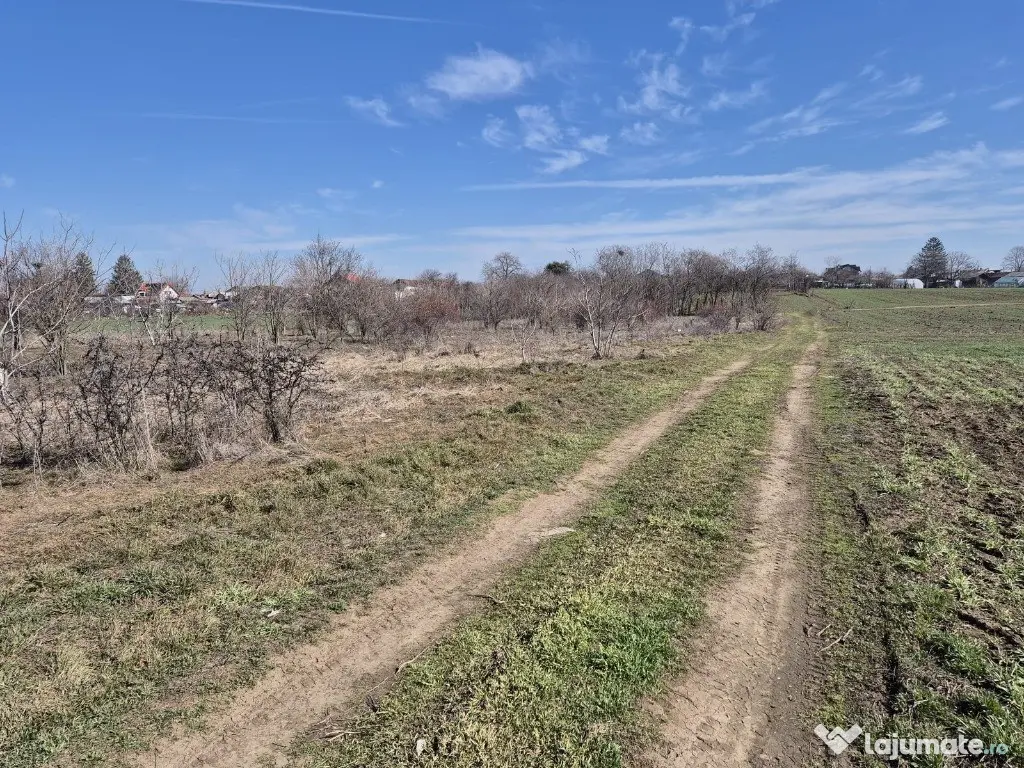 Trestieni - Ulmi, vanzare teren 1.663mp, intravilan