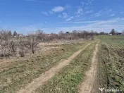 Trestieni - Ulmi, vanzare teren 1.663mp, intravilan 