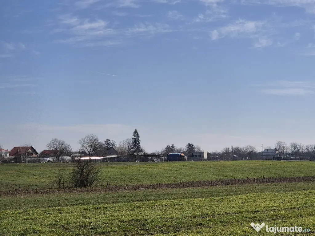 Trestieni - Ulmi, vanzare teren 1.663mp, intravilan