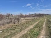 Trestieni - Ulmi, vanzare teren 1.663mp, intravilan 