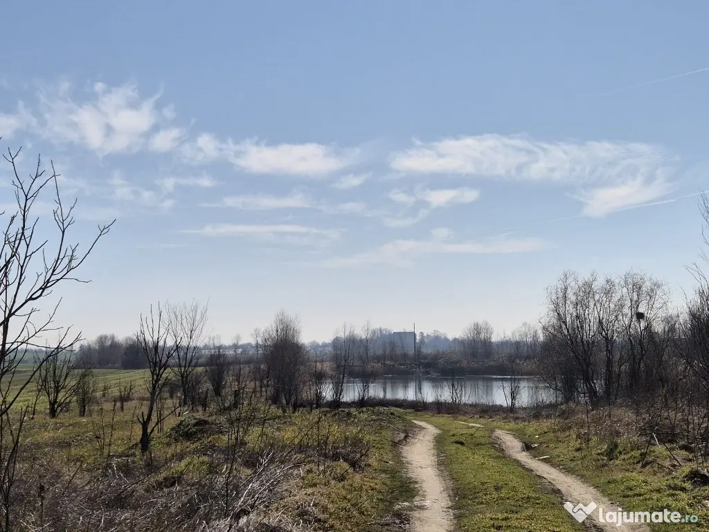 Trestieni - Ulmi, vanzare teren 1.663mp, intravilan