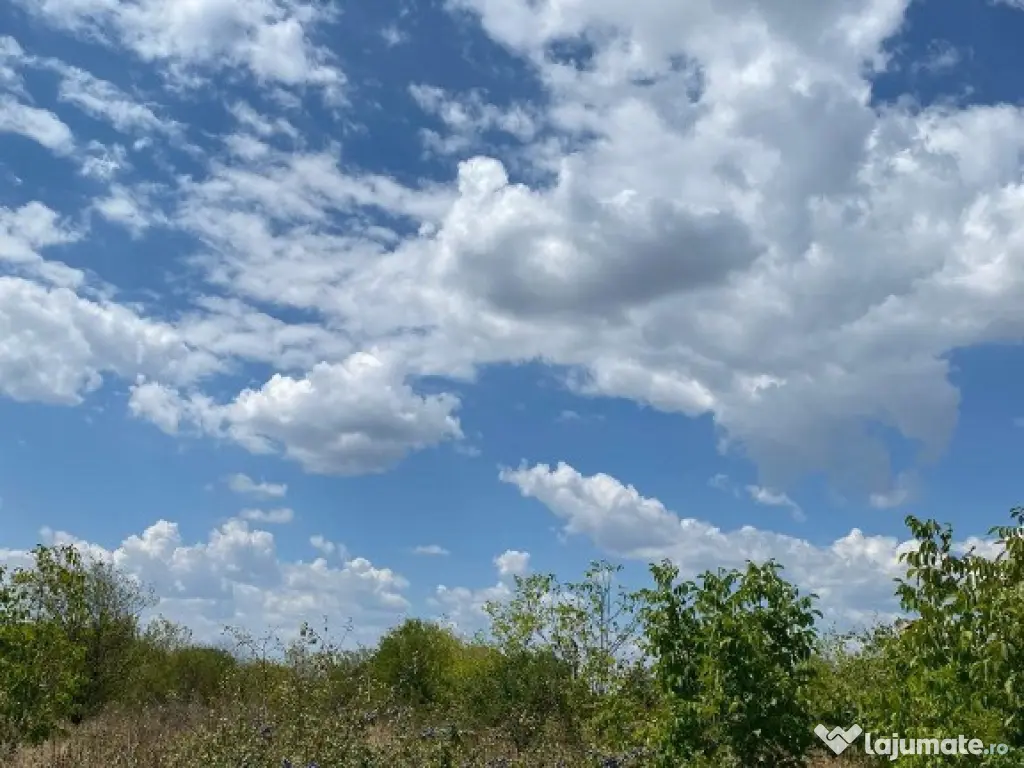 Trestieni - Ulmi, vanzare teren 1.663mp, intravilan