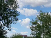 Trestieni - Ulmi, vanzare teren 1.663mp, intravilan 