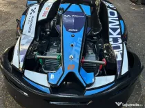 Vand 12 karturi Sodi RT10