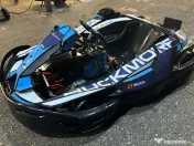 Vand 12 karturi Sodi RT10 