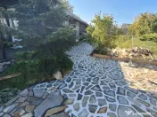 Piatra gazon plante la cele mai bune prețuri 