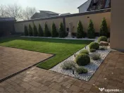 Piatra gazon plante la cele mai bune prețuri 