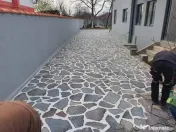 Piatra gazon plante la cele mai bune prețuri 