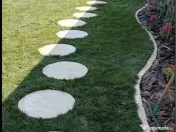 Piatra gazon plante la cele mai bune prețuri 