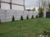 Piatra gazon plante la cele mai bune prețuri 