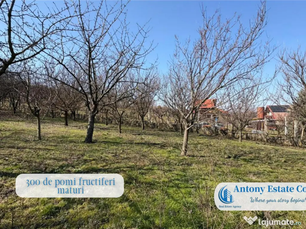 Casa cu Livada – proprietate deosebita, 300 pomi fructi...