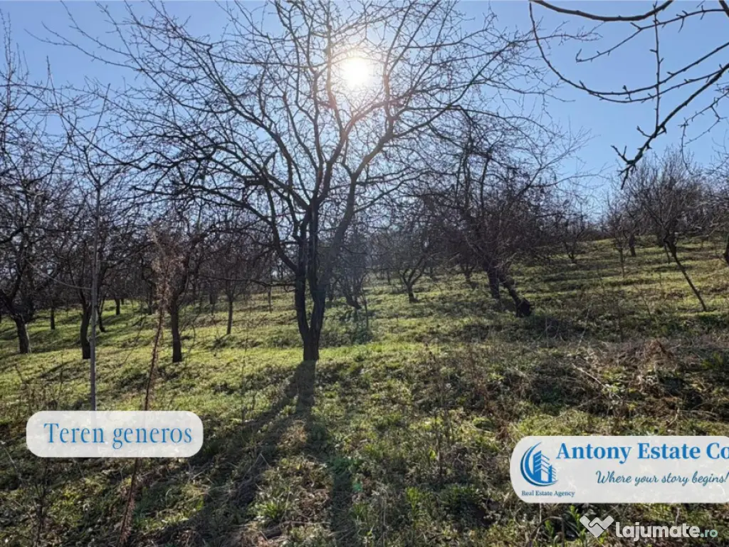 Casa cu Livada – proprietate deosebita, 300 pomi fructi...