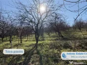 Casa cu Livada – proprietate deosebita, 300 pomi fructi... 