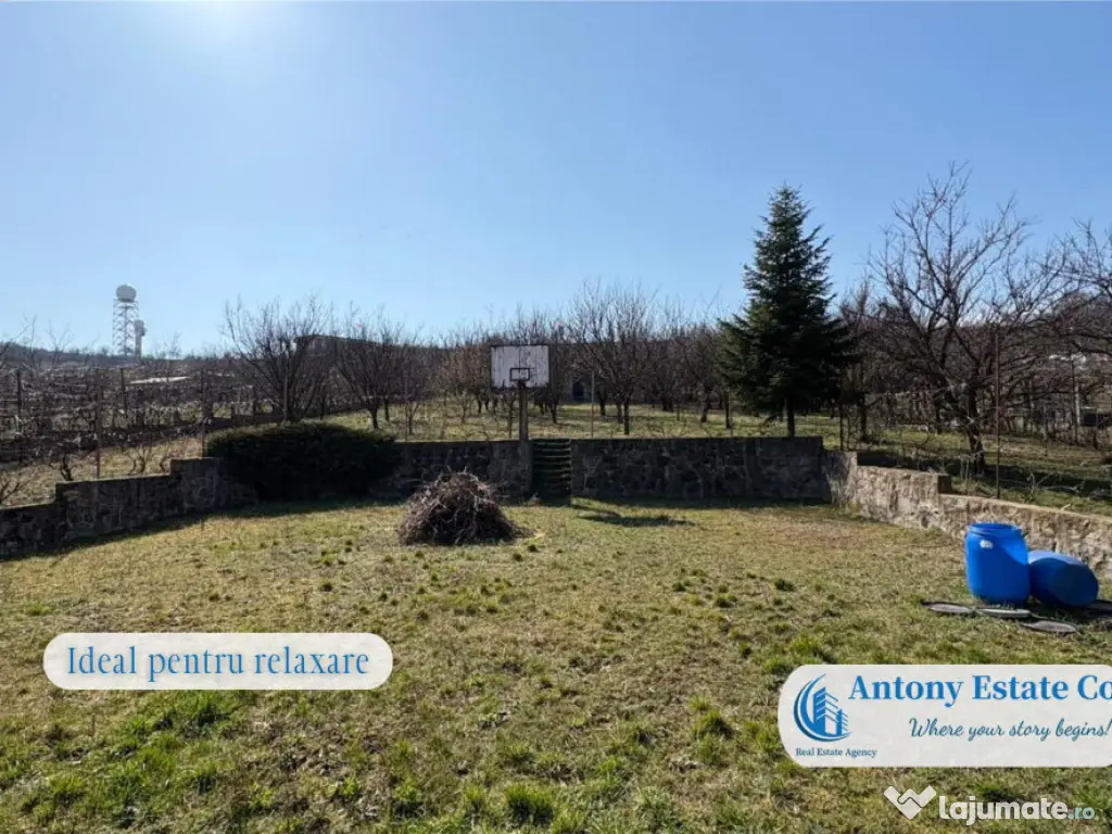 Casa cu Livada – proprietate deosebita, 300 pomi fructi...