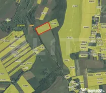 EXCLUSIVITATE - teren extravilan Mociu 17400 mp