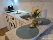 Garsoniera în Micro 40,parter,mobulata,utilata 