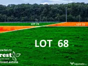Profită acum de oferta de Paște! Loturi de casă între 2 păduri, 900mp, eForest 1 