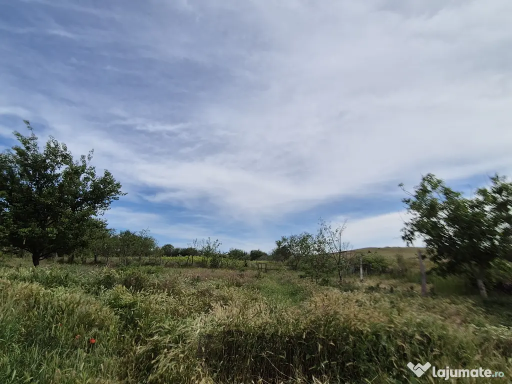 Teren 1000 mp, Oituz (Constanța)