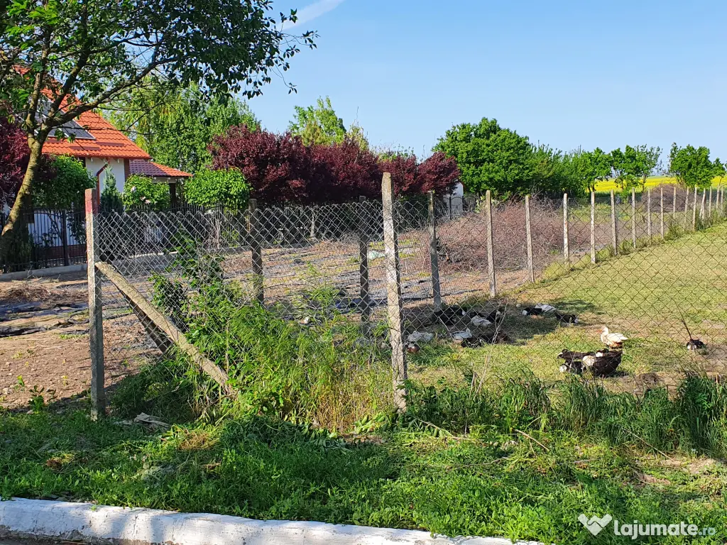 Teren 1000 mp, Oituz (Constanța)