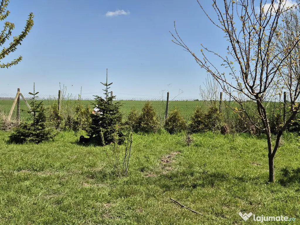 Teren 1000 mp, Oituz (Constanța)