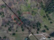 Teren Poiana Brasov, langa Stana turistica 1872mp, PUZ ca... 