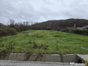 Teren intravilan 2800 mp Borlesti jud. Arges 