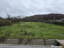 Teren intravilan 2800 mp Borlesti jud. Arges