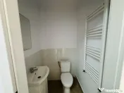 Hala industriala nouă, 386 mp, teren 900 mp, Domnești-Cent