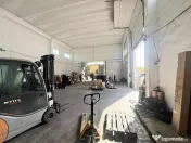 Hala 700 mp - teren 3998 mp - Nufarul 