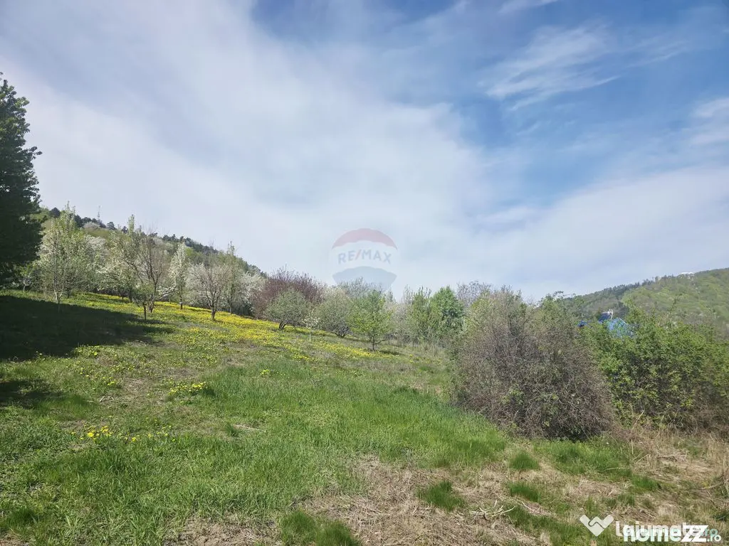 Teren 1,000mp Piatra-Neamt / Zona Fermelor