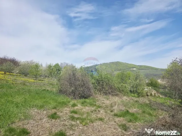 Teren 1,000mp Piatra-Neamt / Zona Fermelor