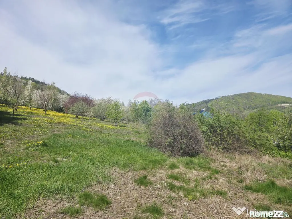 Teren 1,000mp Piatra-Neamt / Zona Fermelor