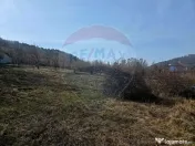 Teren 1,000mp Piatra-Neamt / Zona Fermelor 
