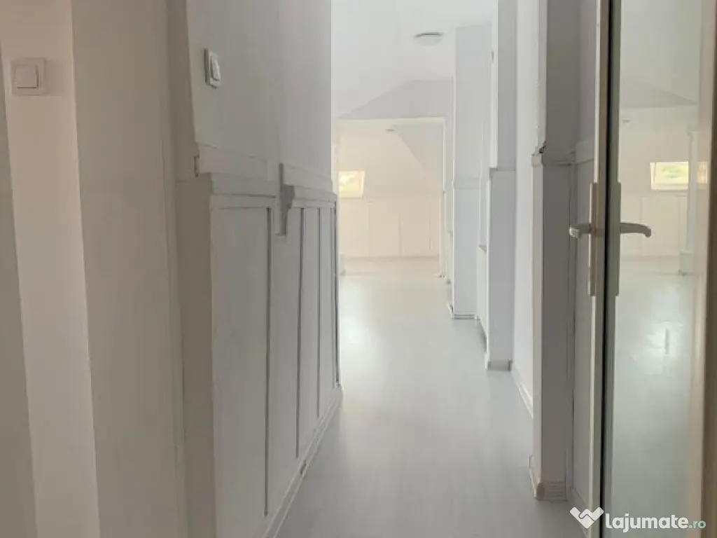 Casa cu destinatie comerciala 335 mp