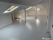 Casa cu destinatie comerciala 335 mp 