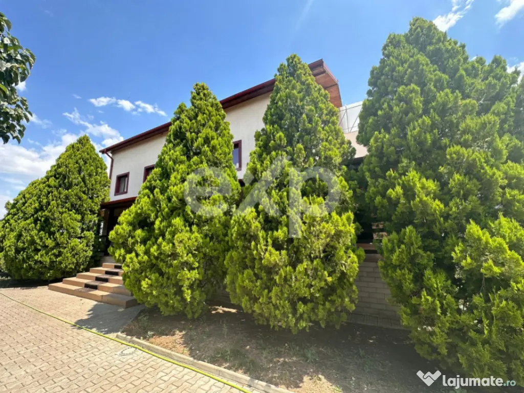 Vila 200mp Utili + Anexe si Teren 1.200mp Tancabesti