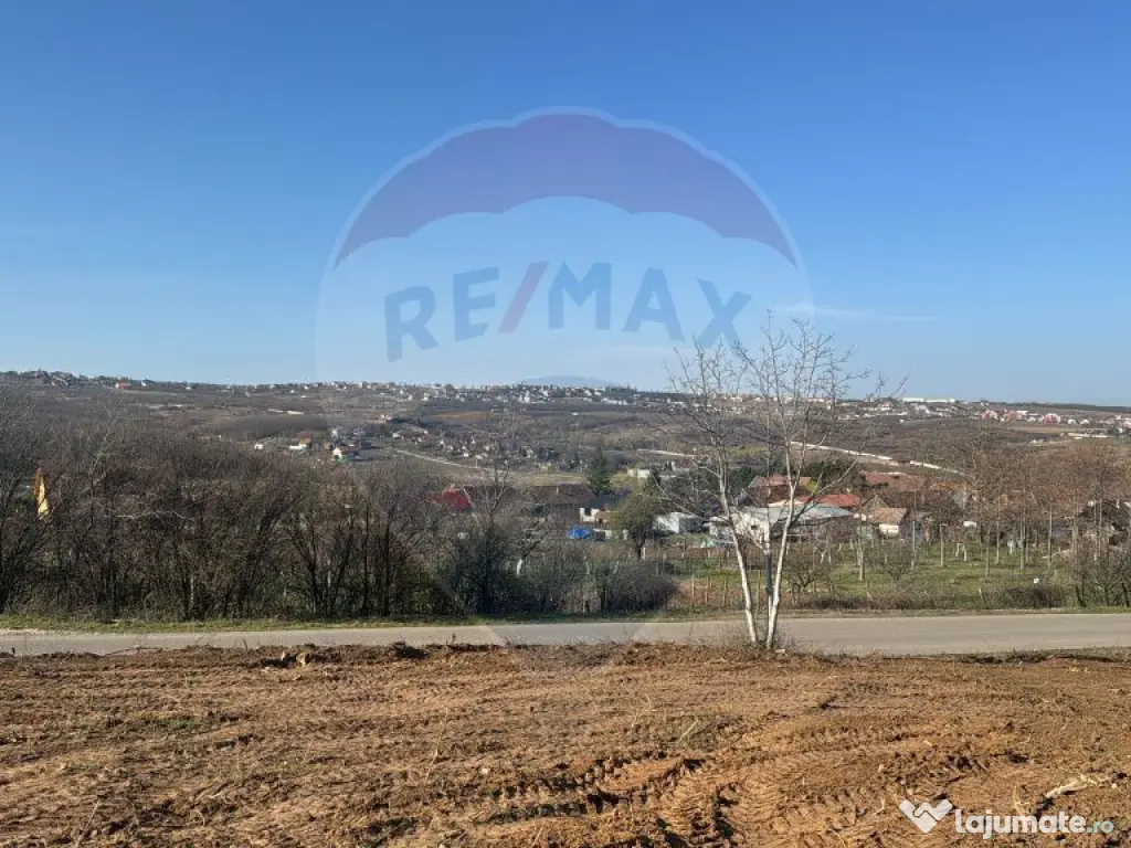 Teren intravilan de vânzare, 1107 mp –Paleu, județul ...