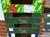 Lădițe pentru portocale sau roșii. 