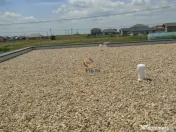 Casa pe Parter Sanandrei 