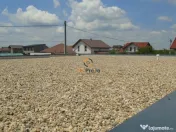 Casa pe Parter Sanandrei 