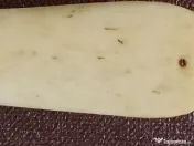 Lopățică veche din os sculptat manual, 14cm – Piesă de vitrină