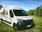 Transport câini și pisici România – Anglia | Siguranță garantată 