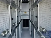 Transport câini și pisici România – Anglia | Siguranță garantată 