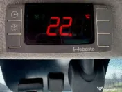 Transport câini și pisici România – Anglia | Siguranță garantată 