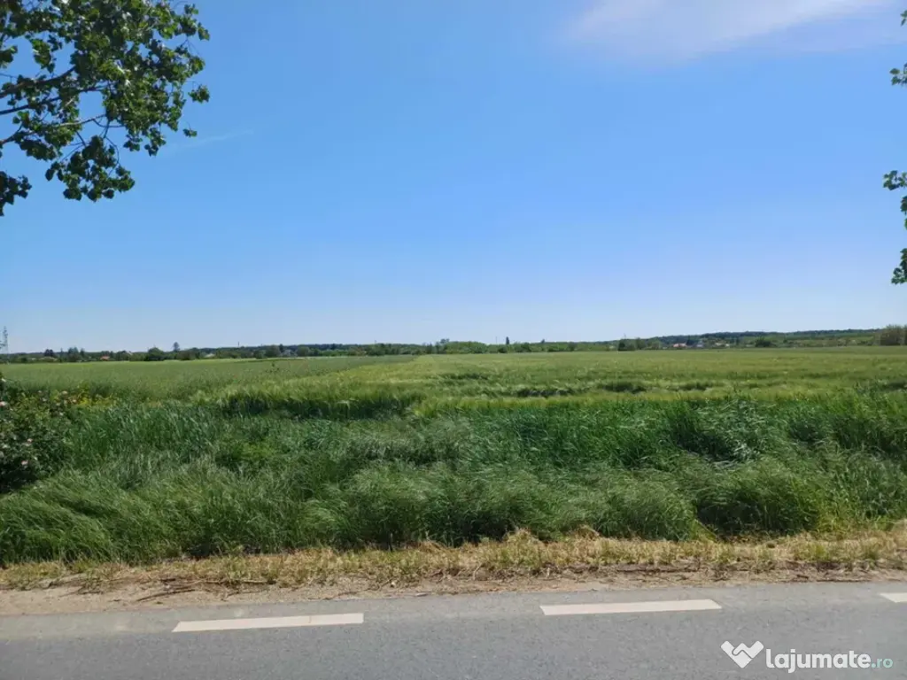 Teren de vânzare în Gruiu, Siliștea Snagovului, 5000mp