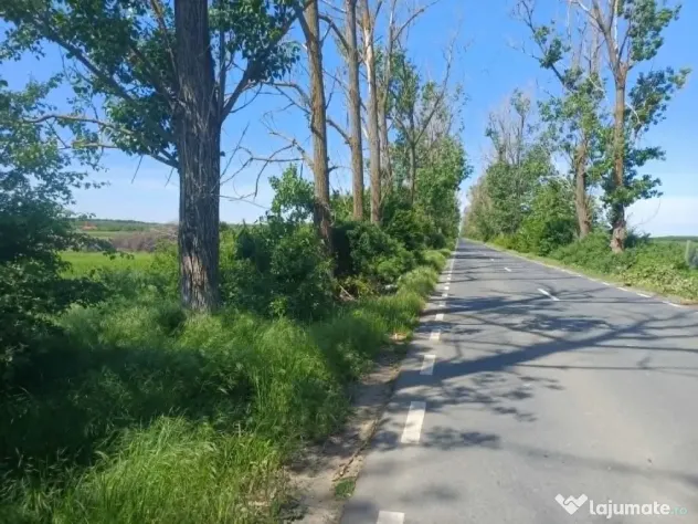 Teren de vânzare în Gruiu, Siliștea Snagovului, 5000mp
