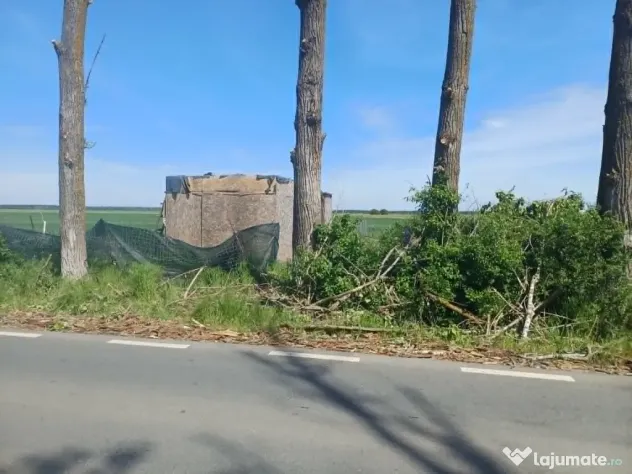 Teren de vânzare în Gruiu, Siliștea Snagovului, 5000mp