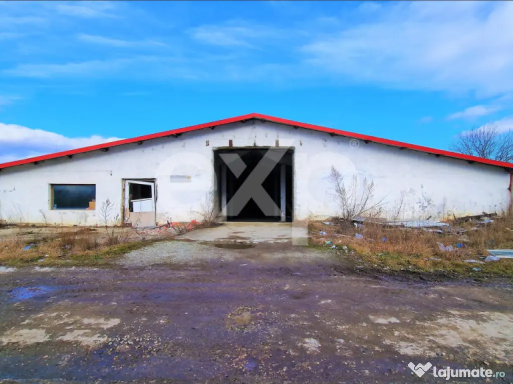 Hala industriala 2000 mp + teren 2776 mp | Rasnov – zona i